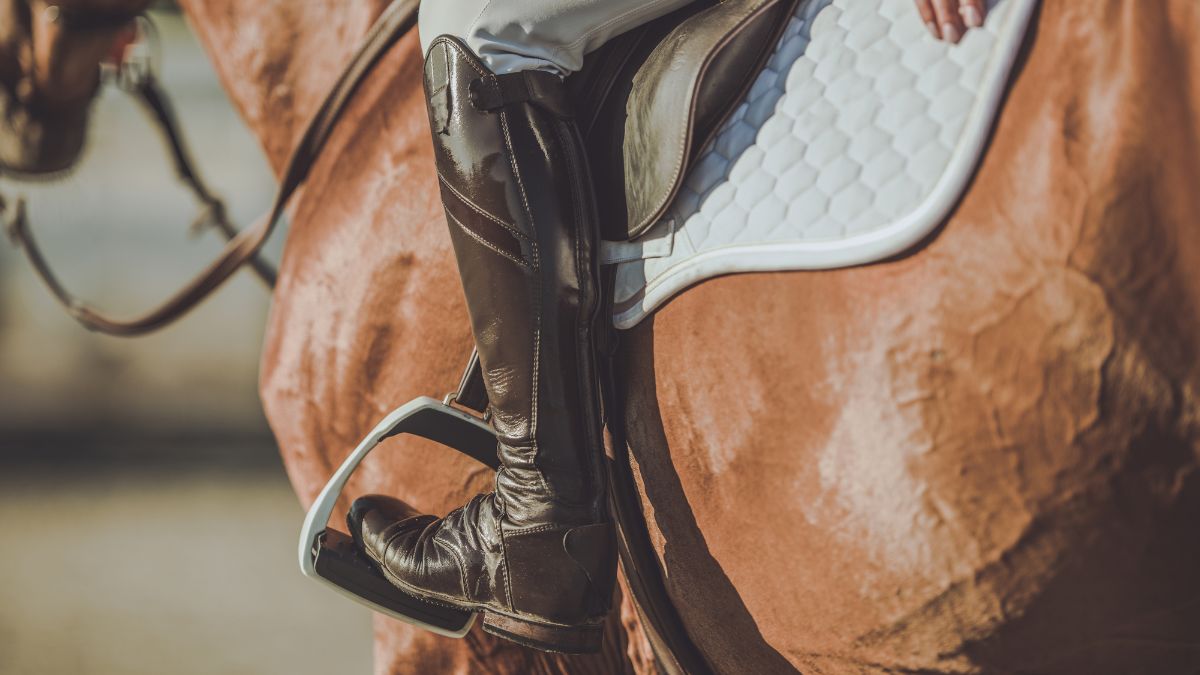 Horse riding on the Costa Blanca