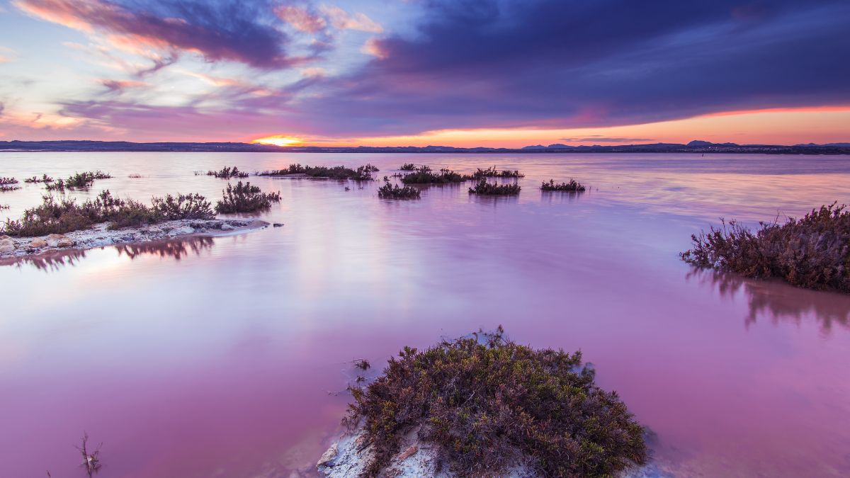Torrevieja – pink salt lakes and coastline